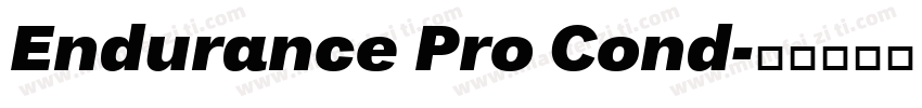 Endurance Pro Cond字体转换
